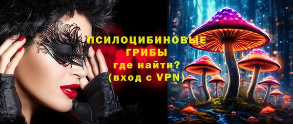 тгк Алексин