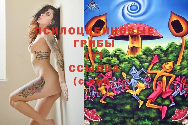 тгк Алексин