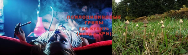 дживик Алзамай