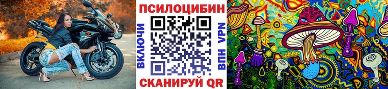 МЕГА как зайти  Ленинск-Кузнецкий  Псилоцибиновые грибы Cubensis  магазин  наркотиков 